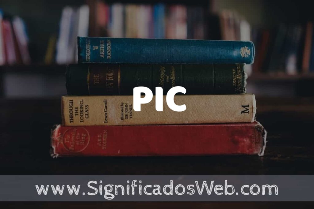 Concepto de PIC ▶️¿Que es? Definición y Significado