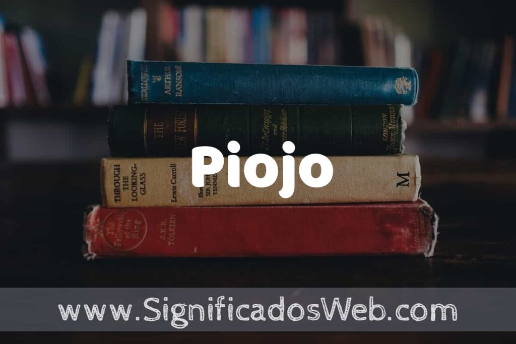 Concepto de Piojo ▶️¿Que es? Definición y Significado