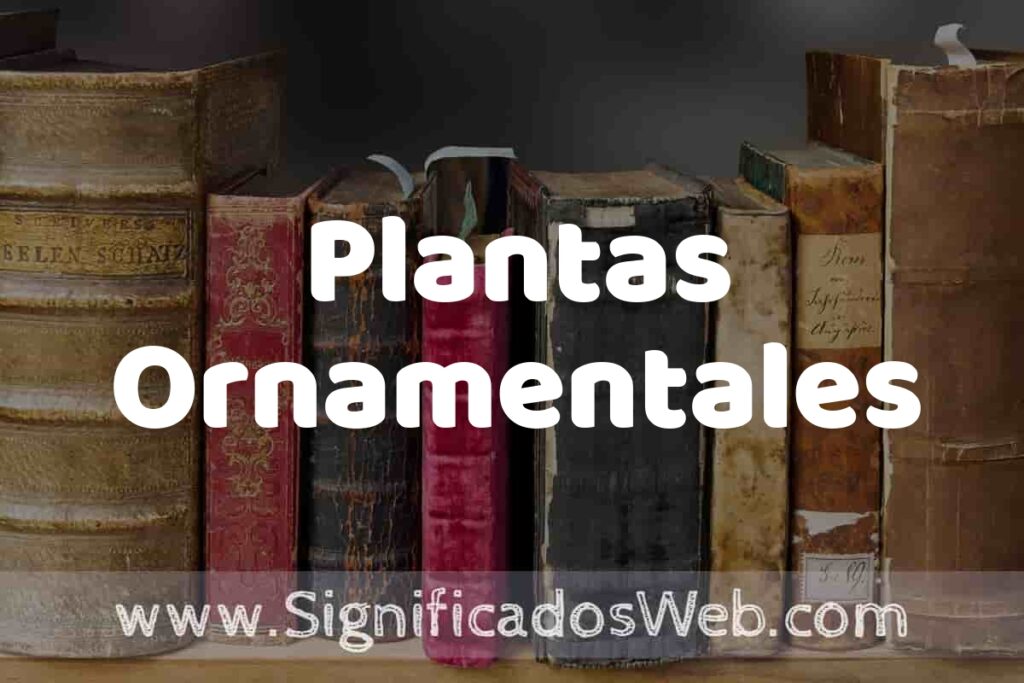 Definición de Plantas Ornamentales: Que es, 5 Ejemplos, Tipos y Para que Sirve + Sinónimo y Significado
