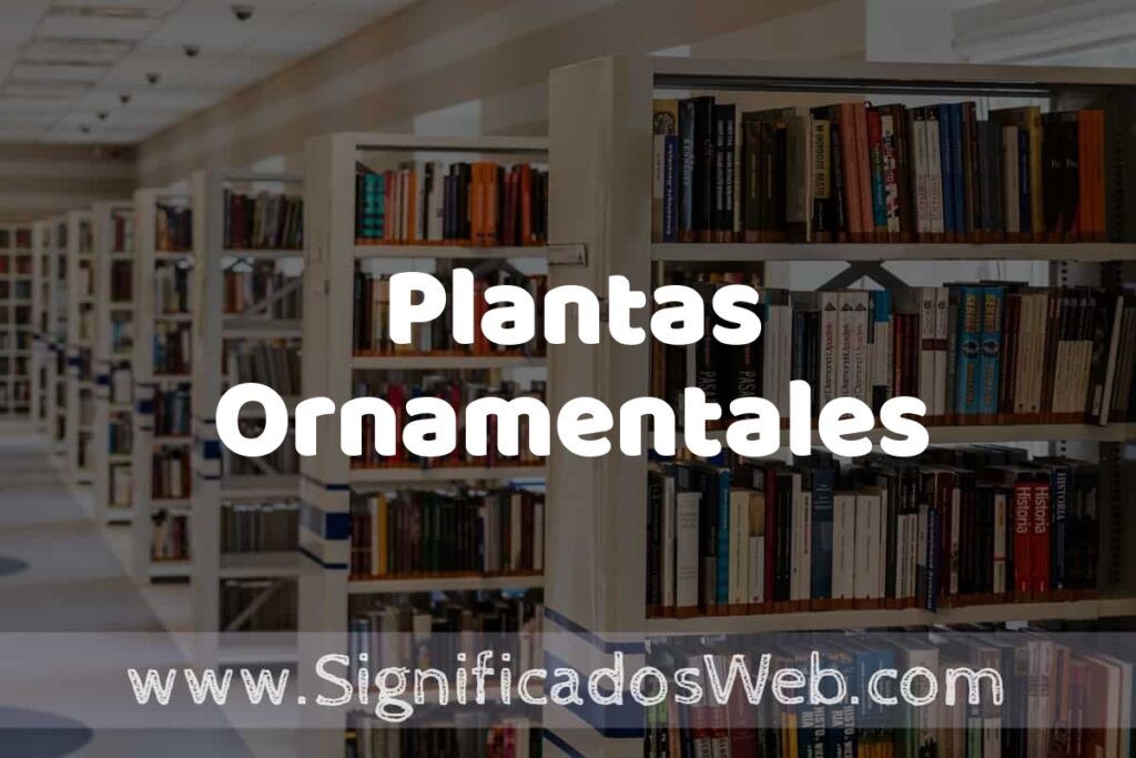 Concepto de Plantas Ornamentales ✔️ Significado y Definición