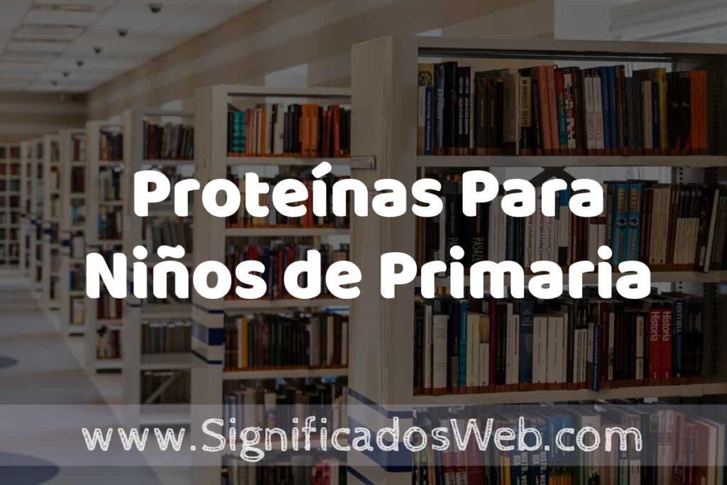 Concepto de Proteínas Para Niños de Primaria ✔️ Significado y Definición