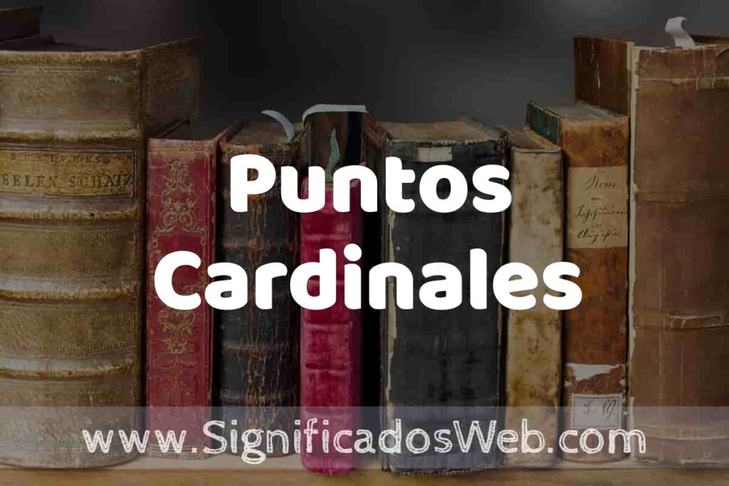 Definición de Puntos Cardinales: Que es, 5 Ejemplos, Tipos y Para que Sirve + Sinónimo y Significado