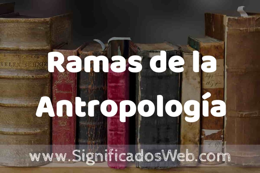 Definición de Ramas de la Antropología: Que es, 5 Ejemplos, Tipos y Para que Sirve + Sinónimo y Significado