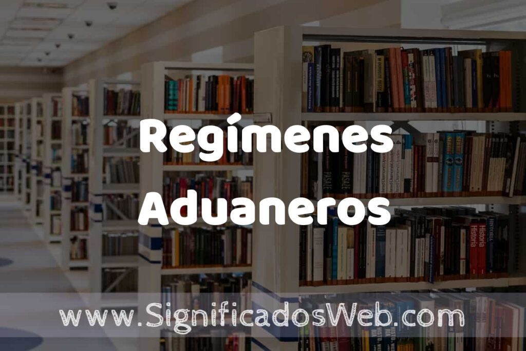 Concepto de Regímenes Aduaneros ✔️ Significado y Definición