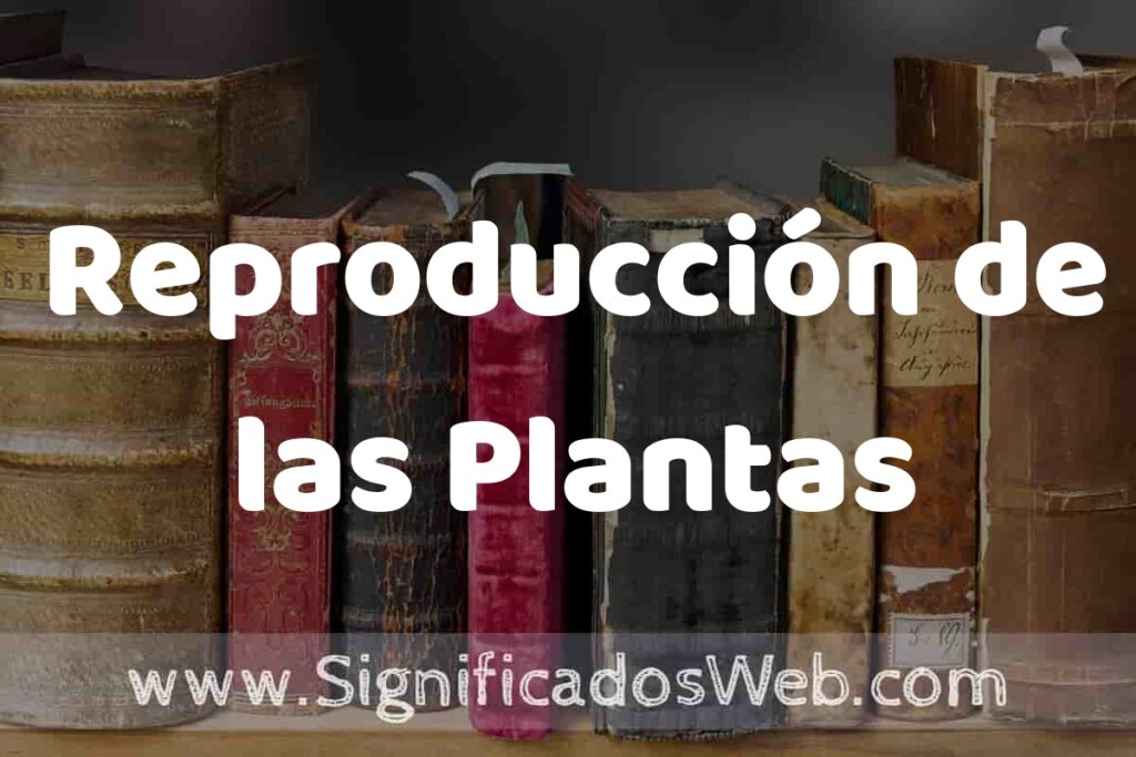 Definición de Reproducción de las Plantas: Que es, 5 Ejemplos, Tipos y Para que Sirve + Sinónimo y Significado