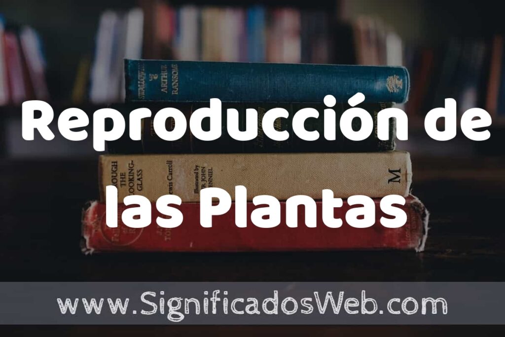Concepto de Reproducción de las Plantas ▶️¿Que es? Definición y Significado