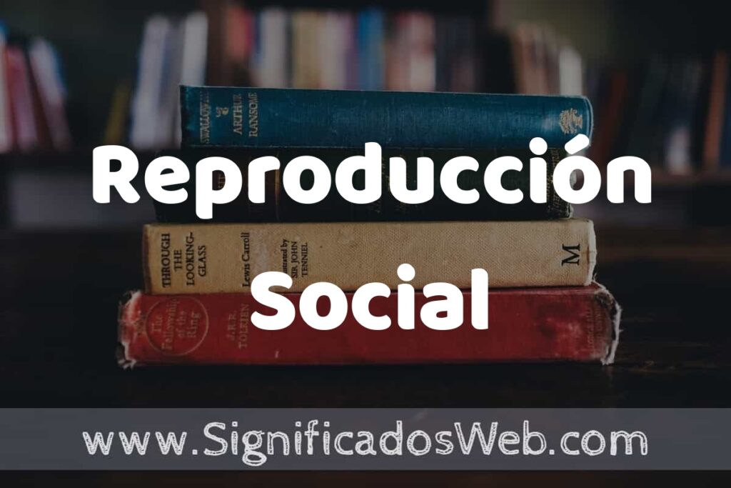 Concepto de Reproducción Social ▶️¿Que es? Definición y Significado