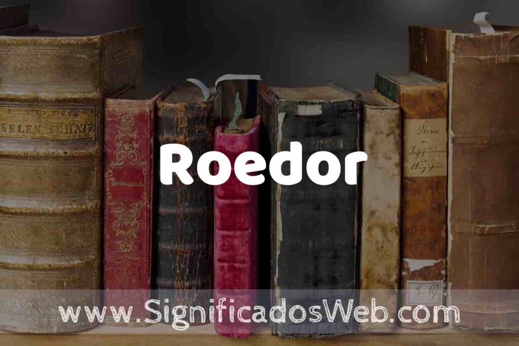 Definición de Roedor: Que es, 5 Ejemplos, Tipos y Para que Sirve + Sinónimo y Significado