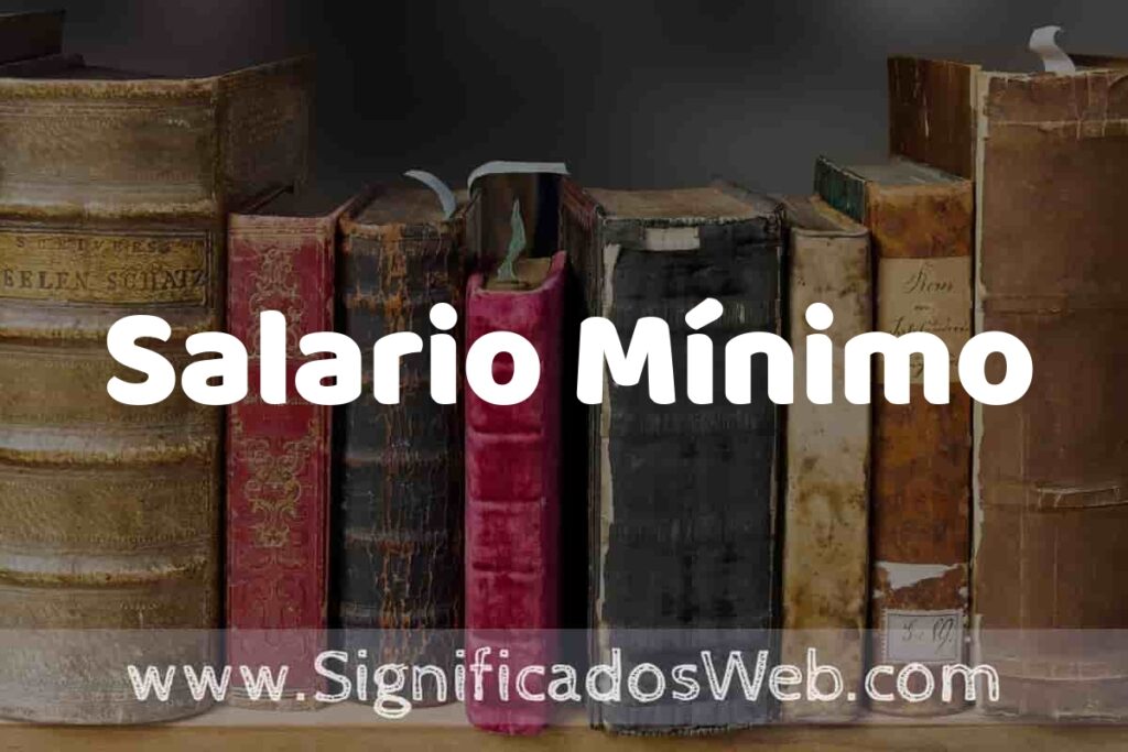 Definición de Salario Mínimo: Que es, 5 Ejemplos, Tipos y Para que Sirve + Sinónimo y Significado