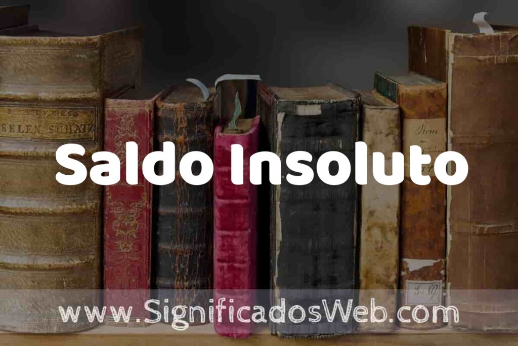 Definición de Saldo Insoluto: Que es, 5 Ejemplos, Tipos y Para que Sirve + Sinónimo y Significado