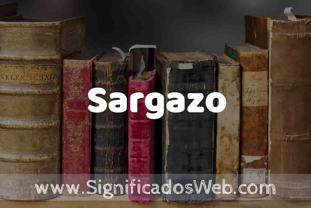 Definición de Sargazo: Que es, 5 Ejemplos, Tipos y Para que Sirve + Sinónimo y Significado