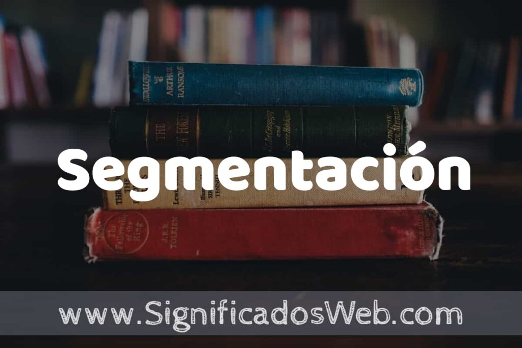 Concepto de Segmentación ▶️¿Que es? Definición y Significado
