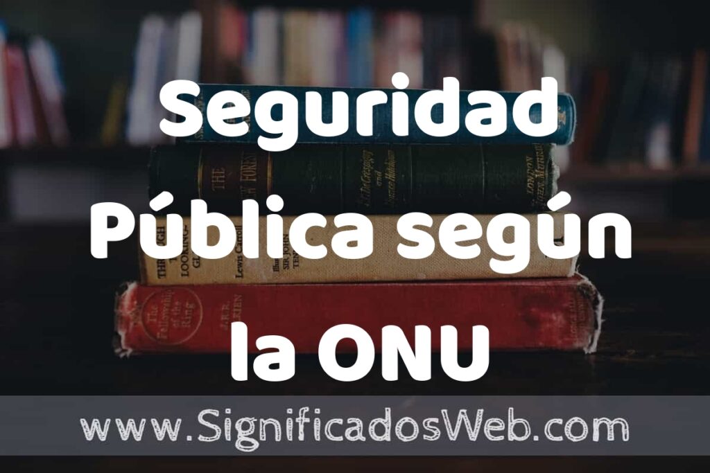 Concepto de Seguridad Pública según la ONU ▶️¿Que es? Definición y Significado
