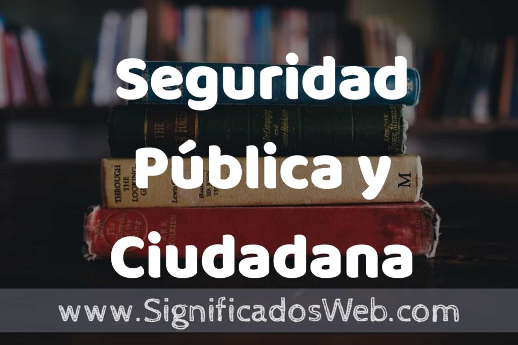 Concepto de Seguridad Pública y Ciudadana ▶️¿Que es? Definición y Significado