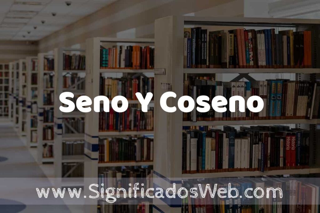 Concepto de Seno Y Coseno ✔️ Significado y Definición