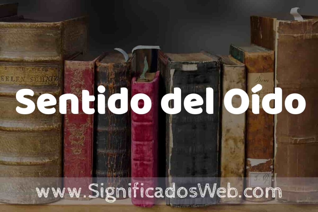 Definición de Sentido del Oído: Que es, 5 Ejemplos, Tipos y Para que Sirve + Sinónimo y Significado