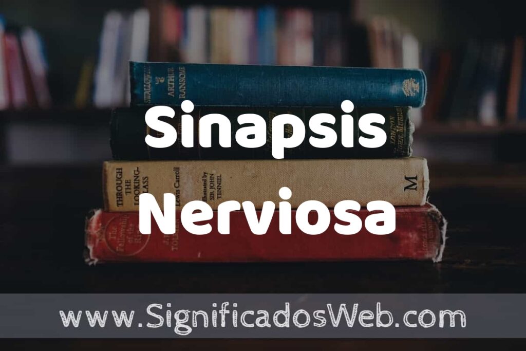 Concepto de Sinapsis Nerviosa ▶️¿Que es? Definición y Significado