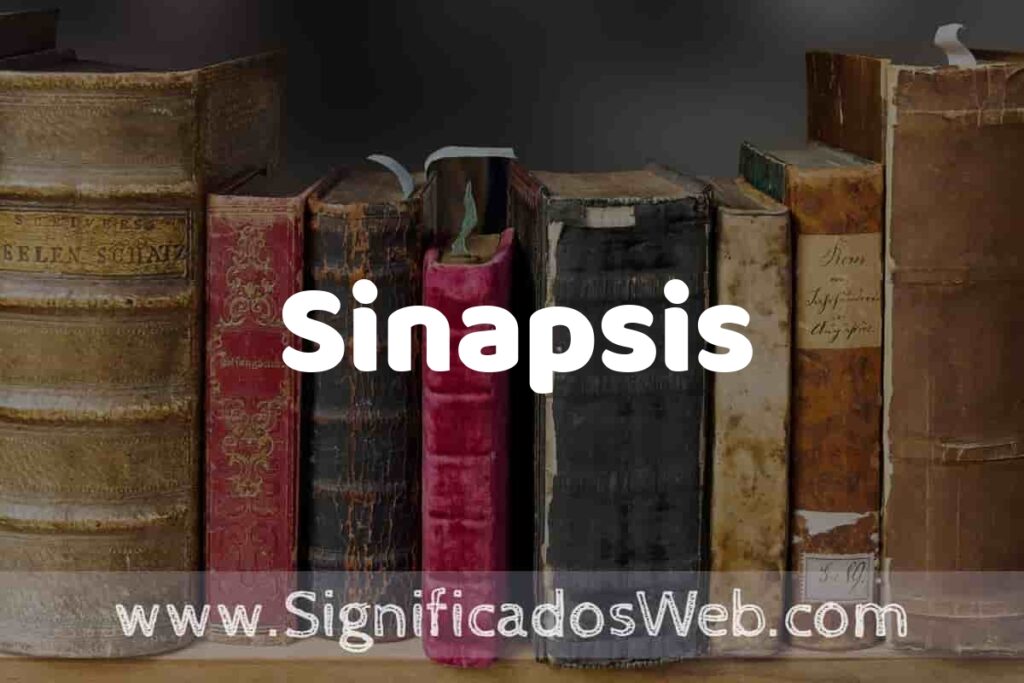 Definición de Sinapsis: Que es, 5 Ejemplos, Tipos y Para que Sirve + Sinónimo y Significado