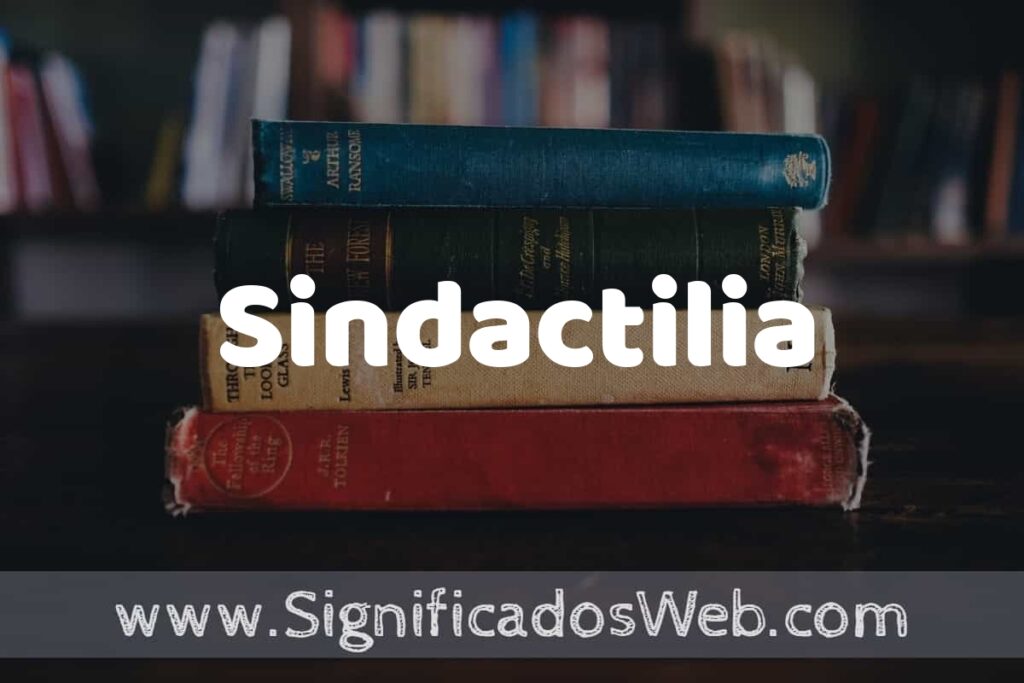 Concepto de Sindactilia ▶️¿Que es? Definición y Significado