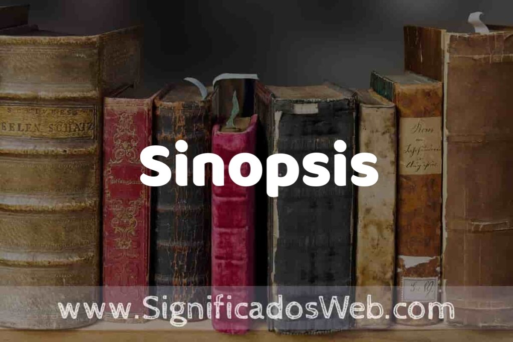 Definición de Sinopsis: Que es, 5 Ejemplos, Tipos y Para que Sirve + Sinónimo y Significado
