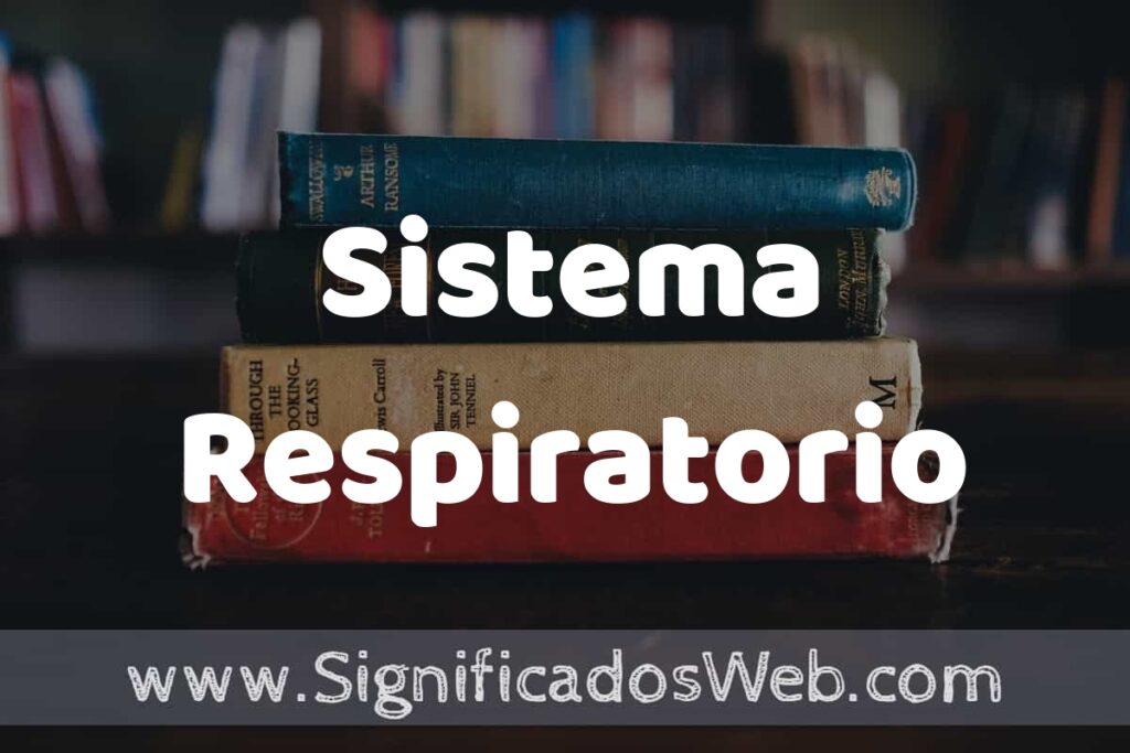Concepto de Sistema Respiratorio ▶️¿Que es? Definición y Significado