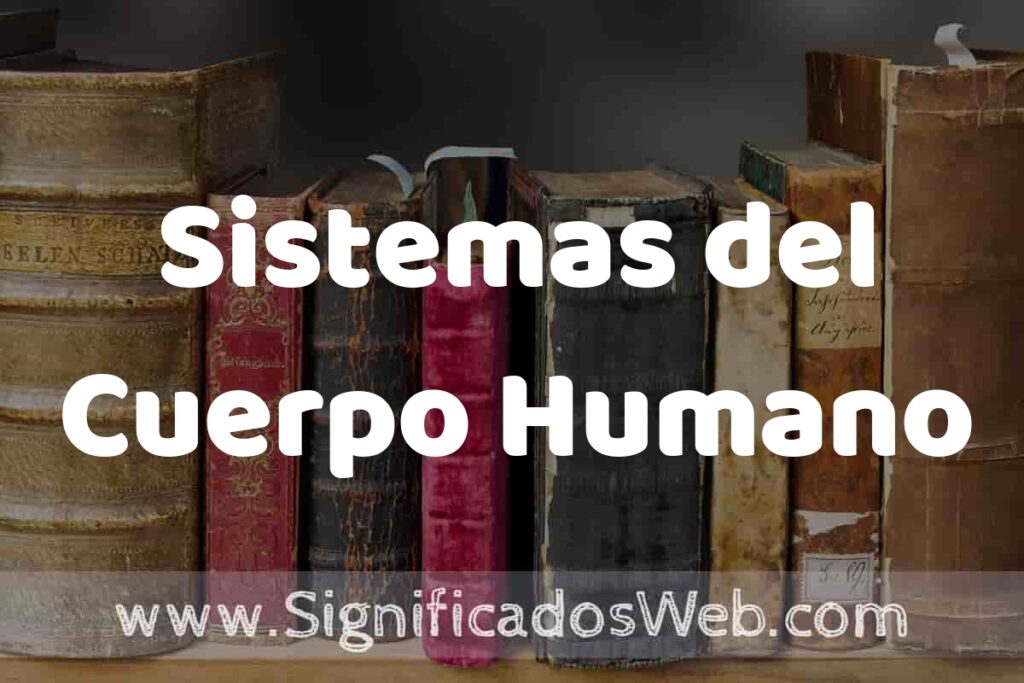 Definición de Sistemas del Cuerpo Humano: Que es, 5 Ejemplos, Tipos y Para que Sirve + Sinónimo y Significado