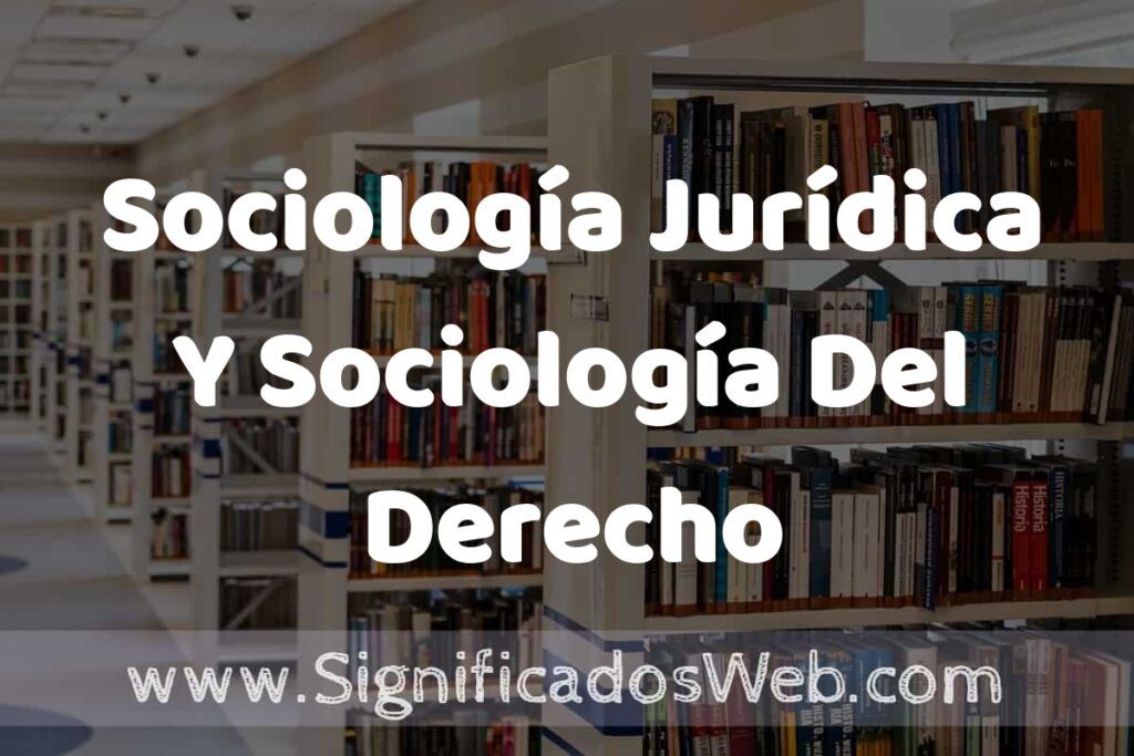 Concepto de Sociología Jurídica Y Sociología Del Derecho ✔️ Significado y Definición