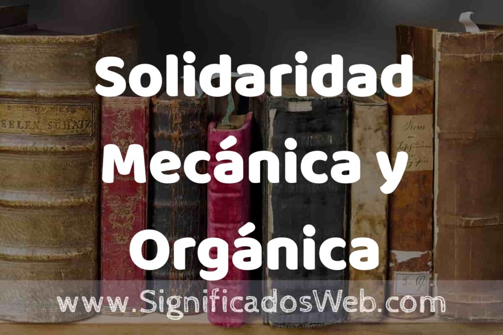 Definición de Solidaridad Mecánica y Orgánica: Que es, 5 Ejemplos, Tipos y Para que Sirve + Sinónimo y Significado