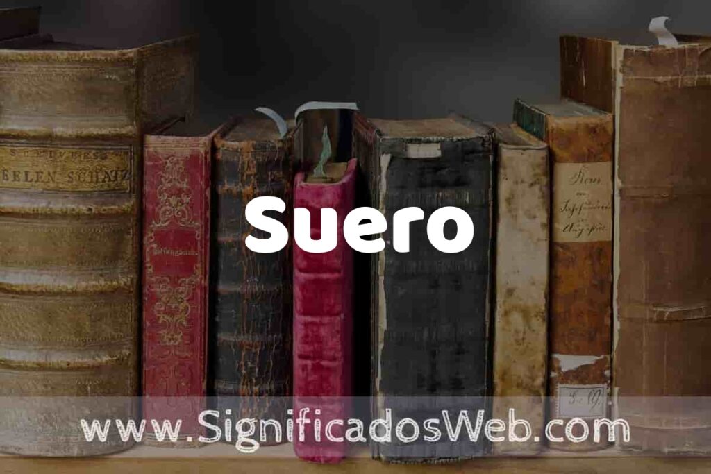 Definición de Suero: Que es, 5 Ejemplos, Tipos y Para que Sirve + Sinónimo y Significado