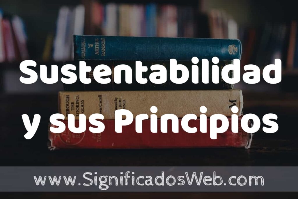 Concepto de Sustentabilidad y sus Principios ▶️¿Que es? Definición y Significado
