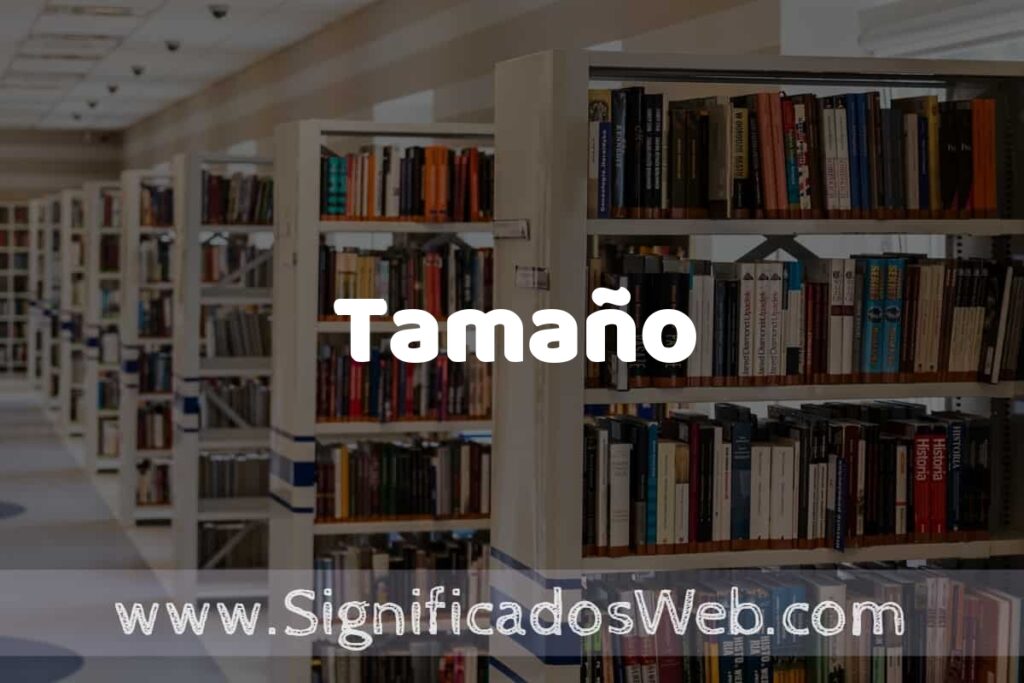 Concepto de Tamaño ✔️ Significado y Definición
