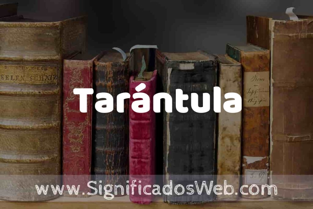 Definición de Tarántula: Que es, 5 Ejemplos, Tipos y Para que Sirve + Sinónimo y Significado