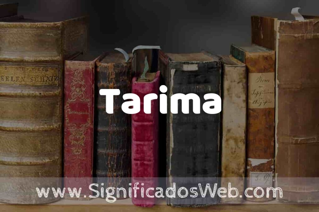 Definición de Tarima: Que es, 5 Ejemplos, Tipos y Para que Sirve + Sinónimo y Significado