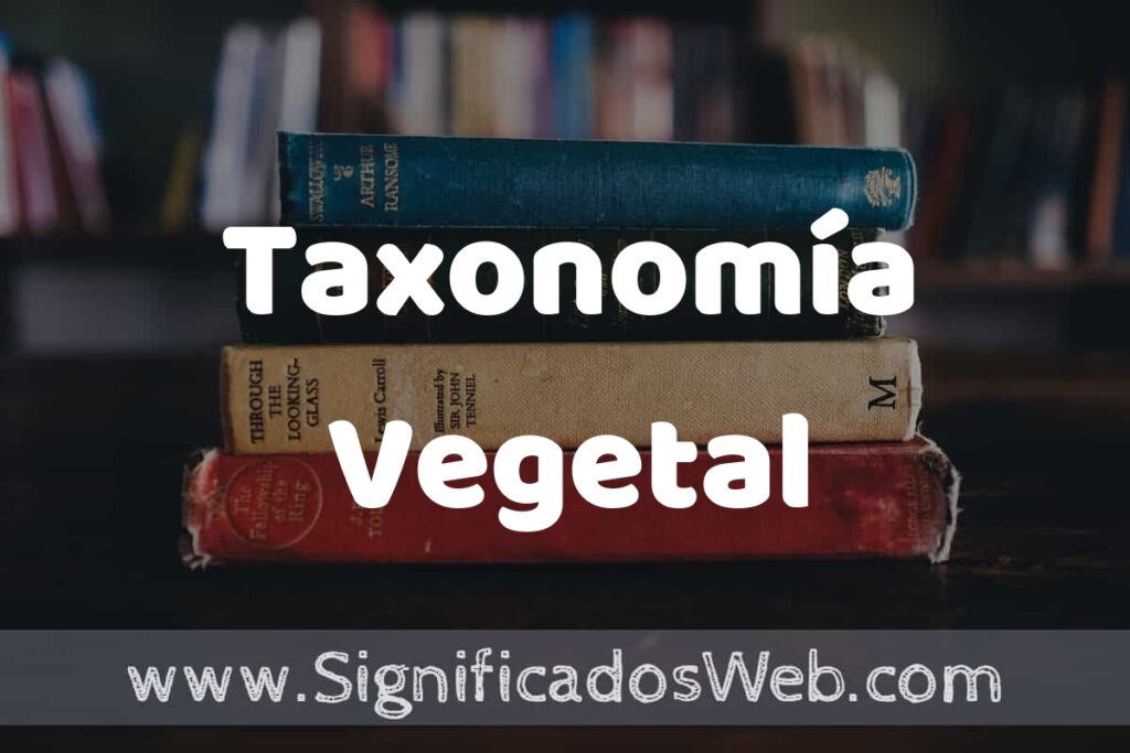 Concepto de Taxonomía Vegetal ▶️¿Que es? Definición y Significado