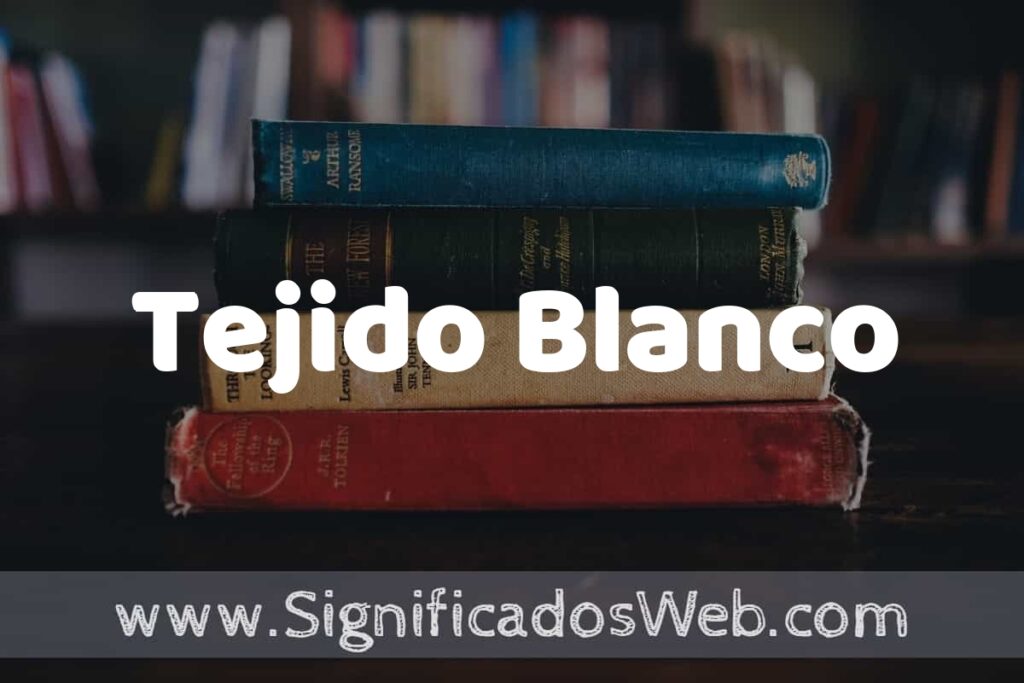 Concepto de Tejido Blanco ▶️¿Que es? Definición y Significado
