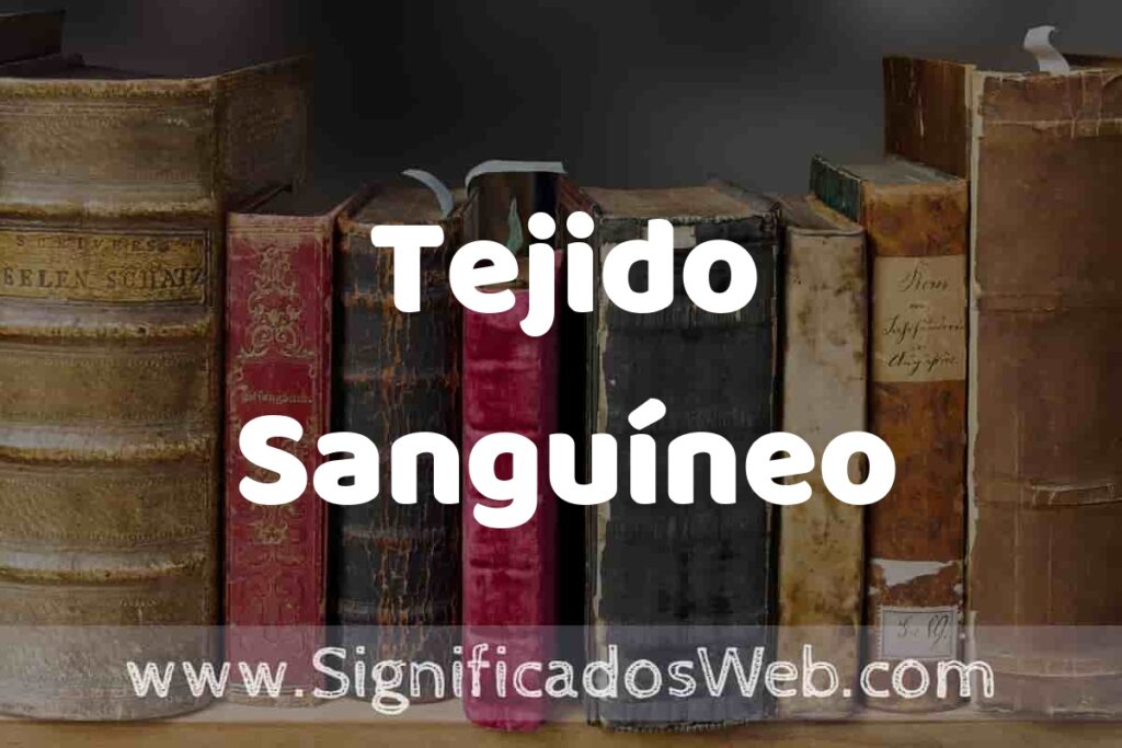 Definición de Tejido Sanguíneo: Que es, 5 Ejemplos, Tipos y Para que Sirve + Sinónimo y Significado