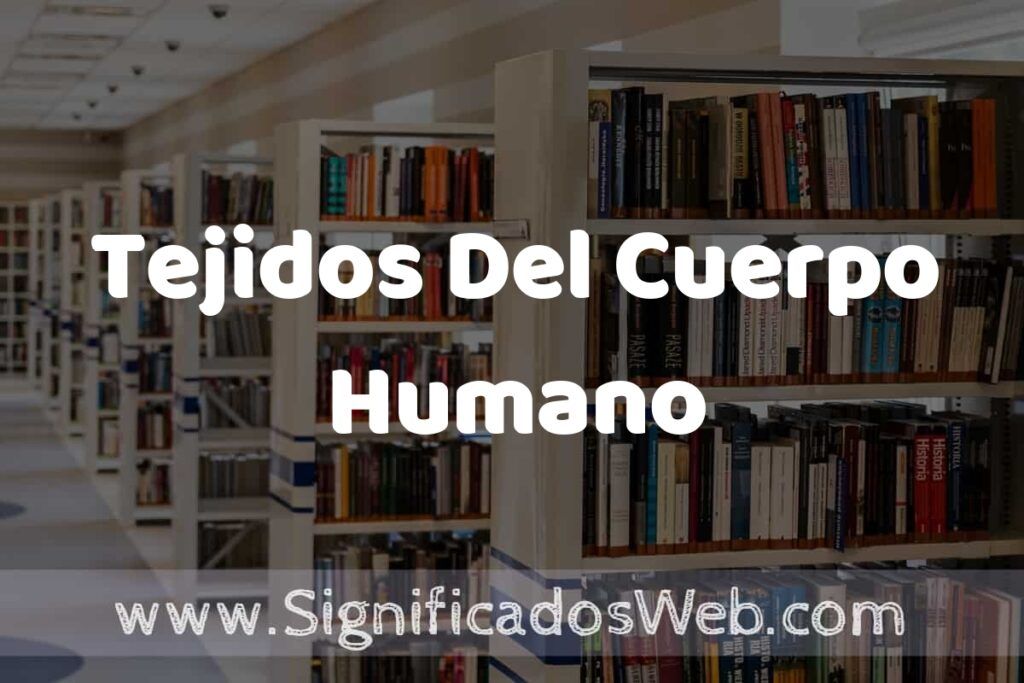 Concepto de Tejidos Del Cuerpo Humano ✔️ Significado y Definición