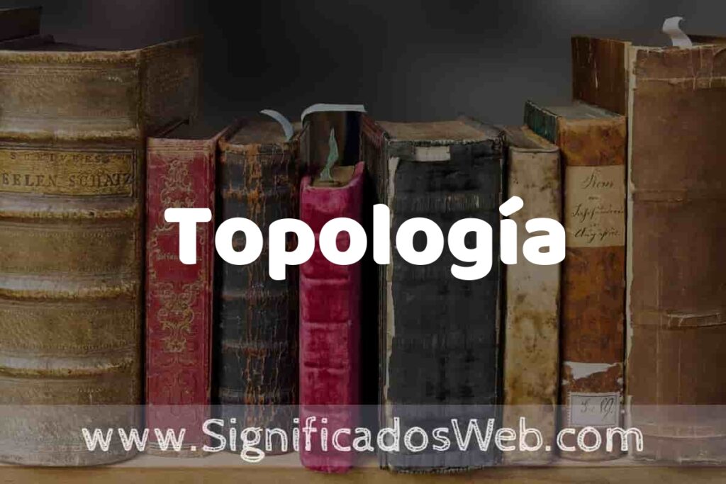 Definición de Topología: Que es, 5 Ejemplos, Tipos y Para que Sirve + Sinónimo y Significado