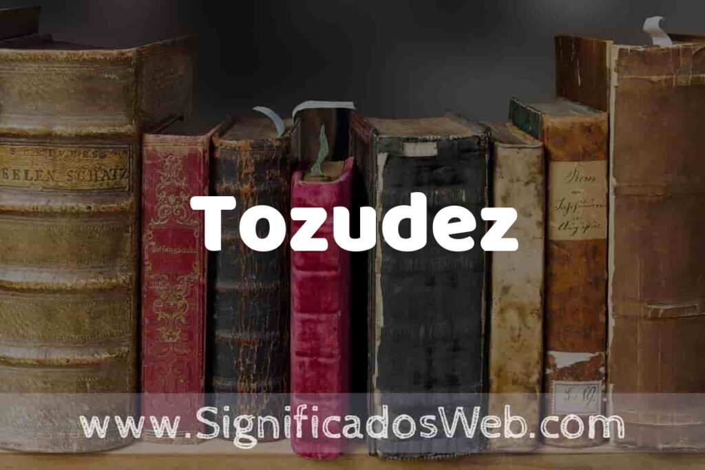 Definición de Tozudez: Que es, 5 Ejemplos, Tipos y Para que Sirve + Sinónimo y Significado