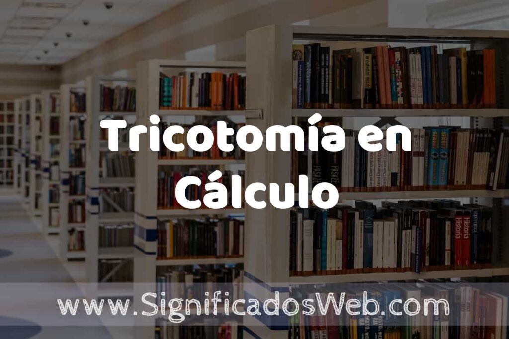 Concepto de Tricotomía en Cálculo ✔️ Significado y Definición