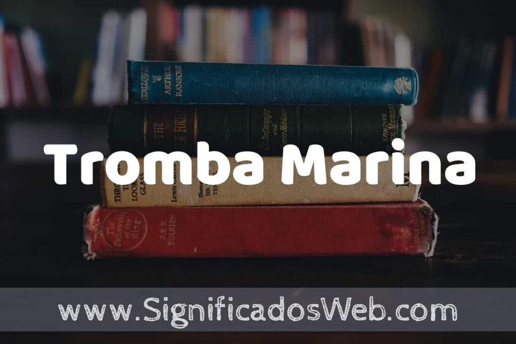 Concepto de Tromba Marina ▶️¿Que es? Definición y Significado