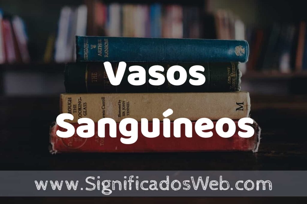 Concepto de Vasos Sanguíneos ▶️¿Que es? Definición y Significado