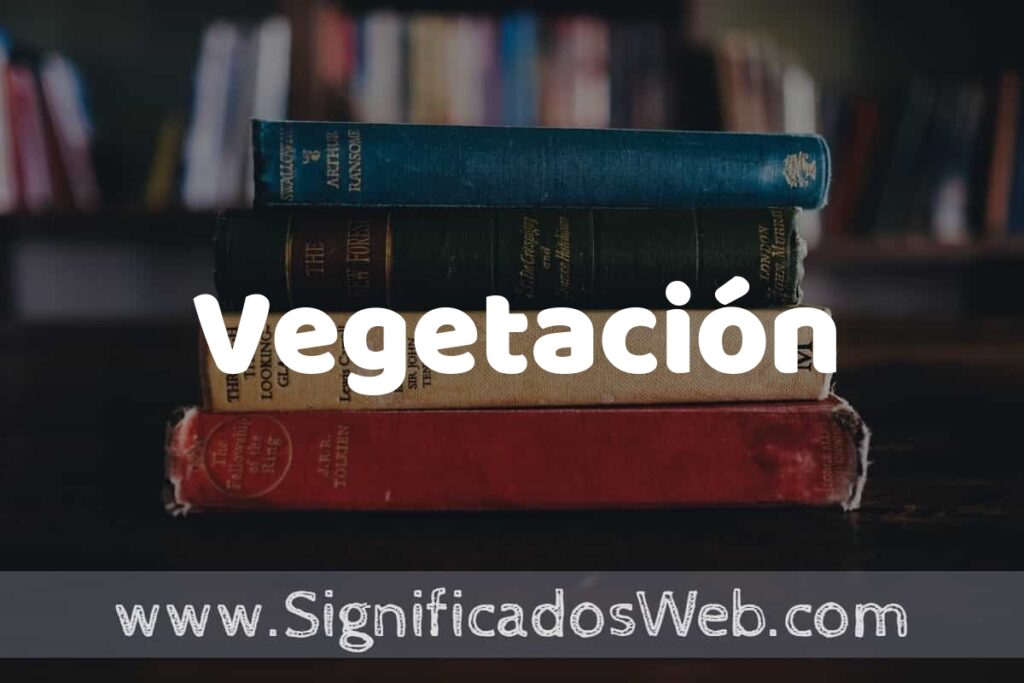 Concepto de Vegetación ▶️¿Que es? Definición y Significado