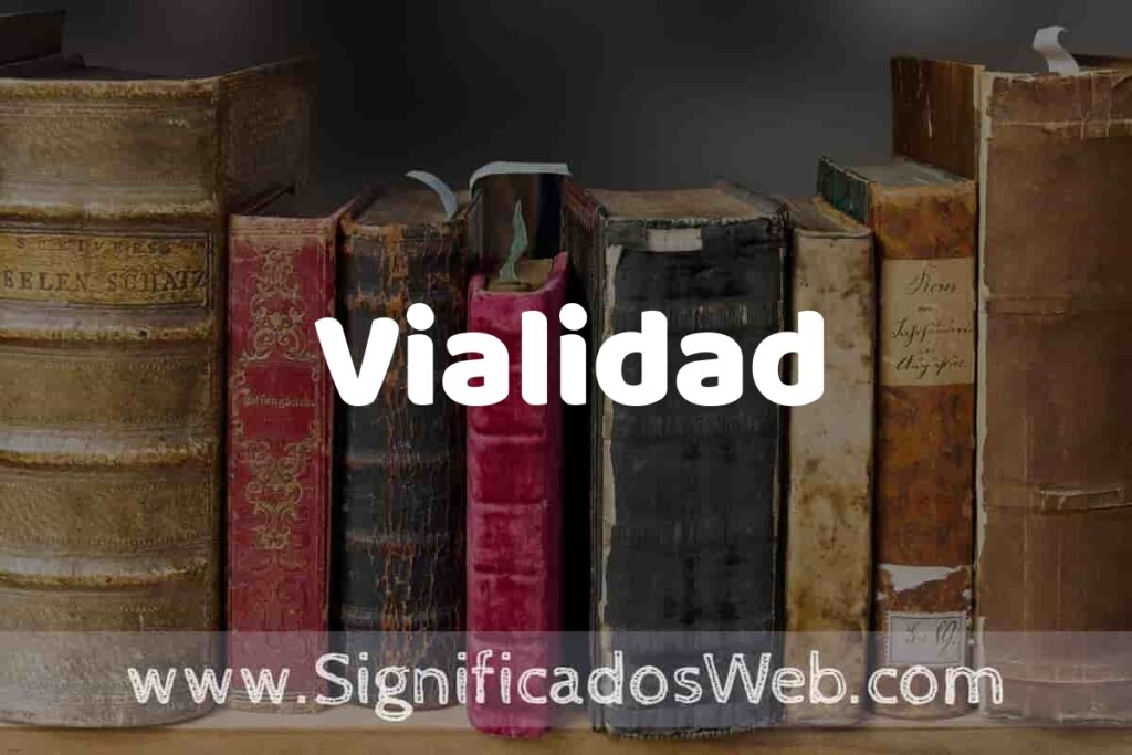 Definición de Vialidad: Que es, 5 Ejemplos, Tipos y Para que Sirve + Sinónimo y Significado