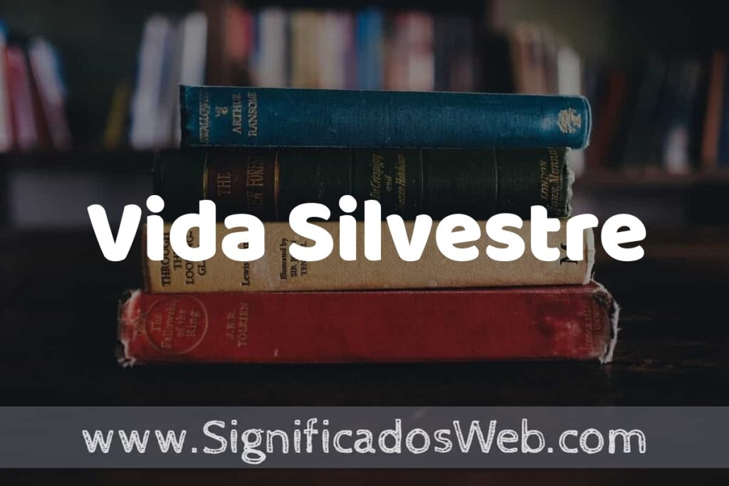 Concepto de Vida Silvestre ▶️¿Que es? Definición y Significado