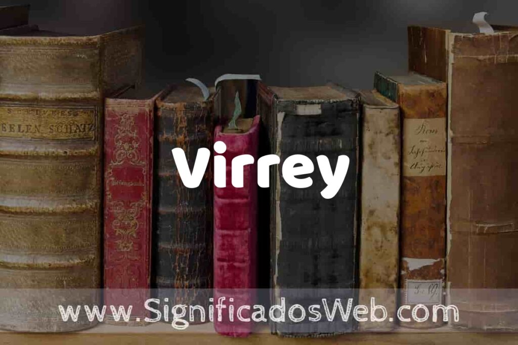 Definición de Virrey: Que es, 5 Ejemplos, Tipos y Para que Sirve + Sinónimo y Significado