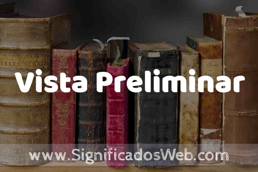 Definición de Vista Preliminar: Que es, 5 Ejemplos, Tipos y Para que Sirve + Sinónimo y Significado
