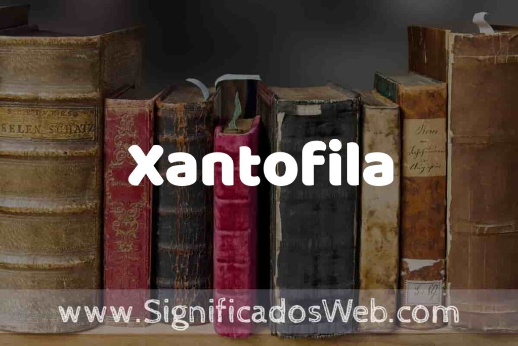Definición de Xantofila: Que es, 5 Ejemplos, Tipos y Para que Sirve + Sinónimo y Significado