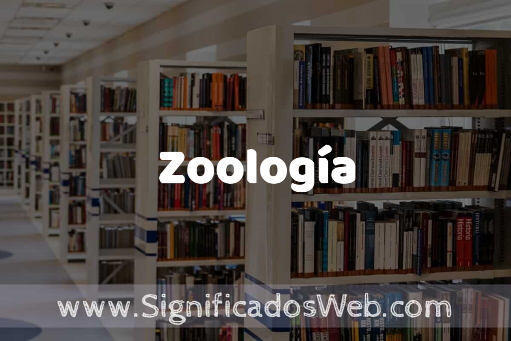 Concepto de Zoología ✔️ Significado y Definición