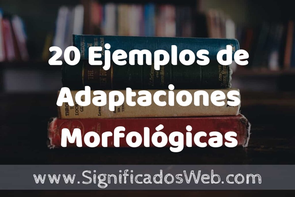 20 Ejemplos de Adaptaciones Morfológicas ▶️ Tipos, Definición y Análisis